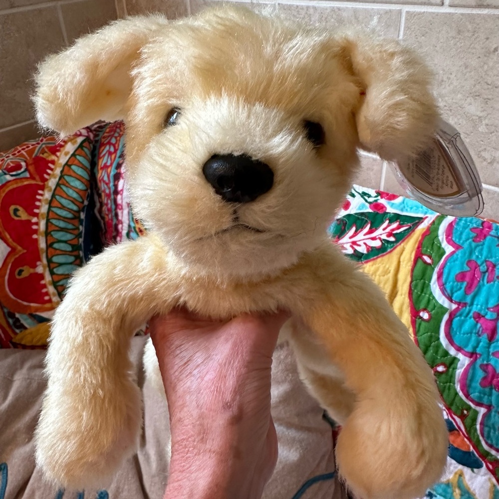 Sunny TY classic collection, yellow Labrador - Picture 2 of 6